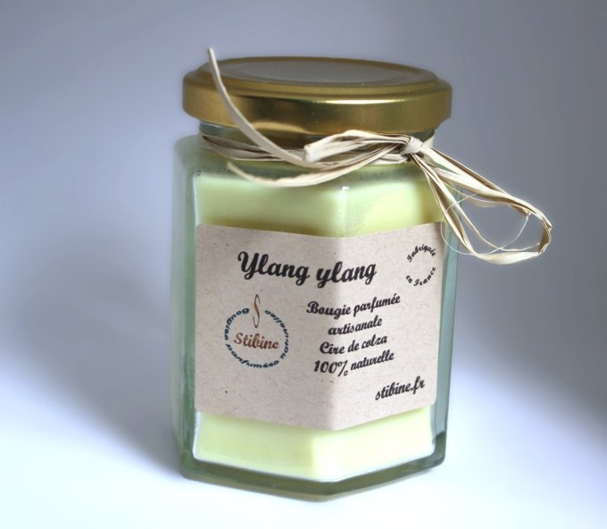 Ylang ylang: pot