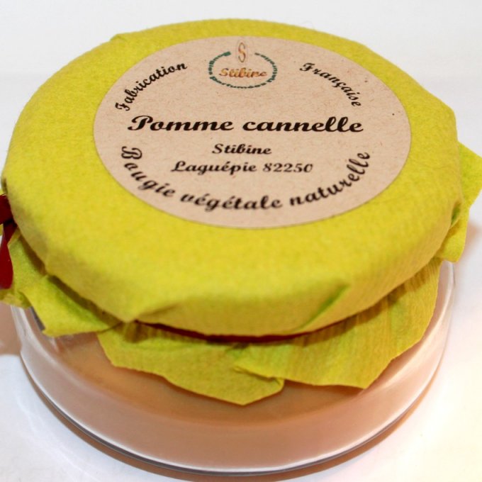 Bougie parfumée pomme cannelle