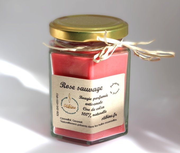 Rose sauvage: pot