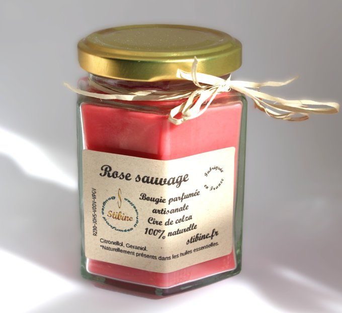 Rose sauvage: pot